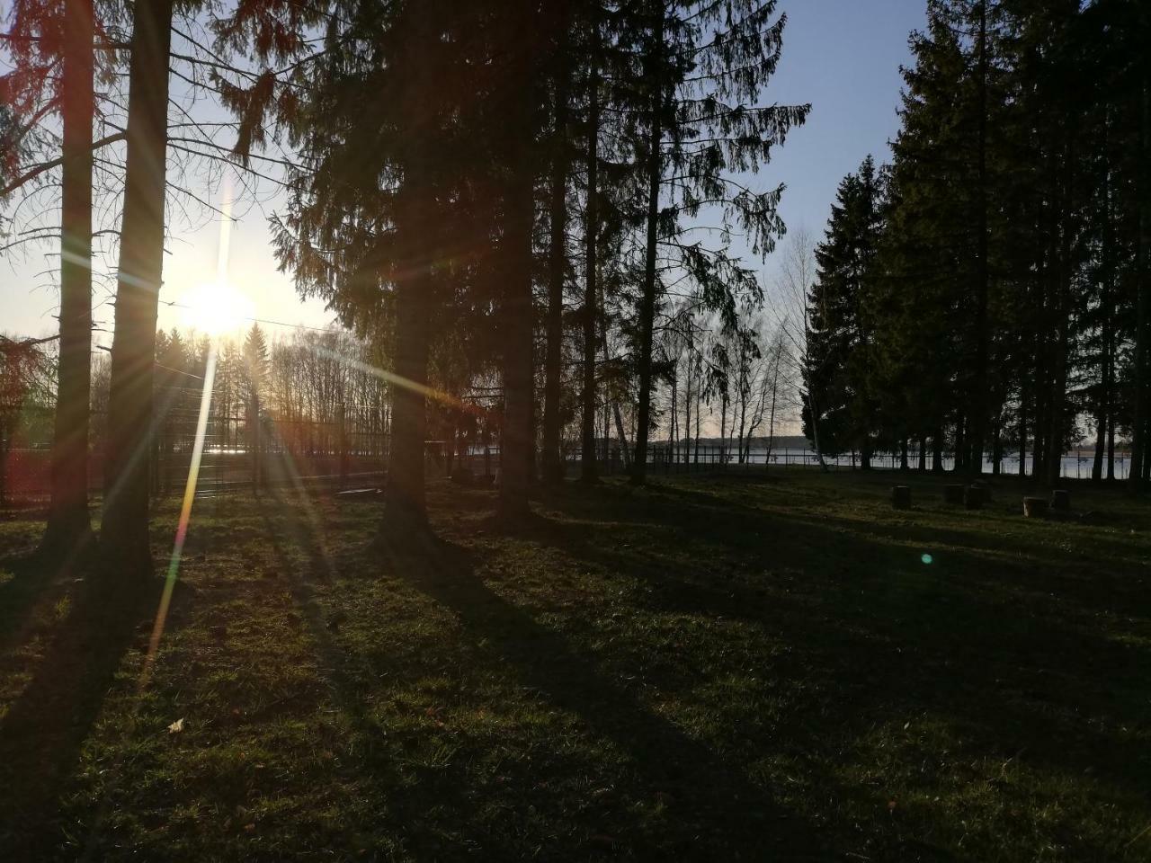 Birzai Camping Екстер'єр фото